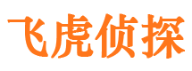 七台河市私家侦探